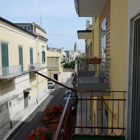 Il Re Degli Scalzi